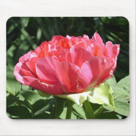 Mousepad Flor de Peony Rosa