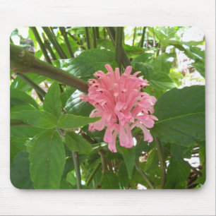 Mousepad Flor de Pluma Brasileira Rosa