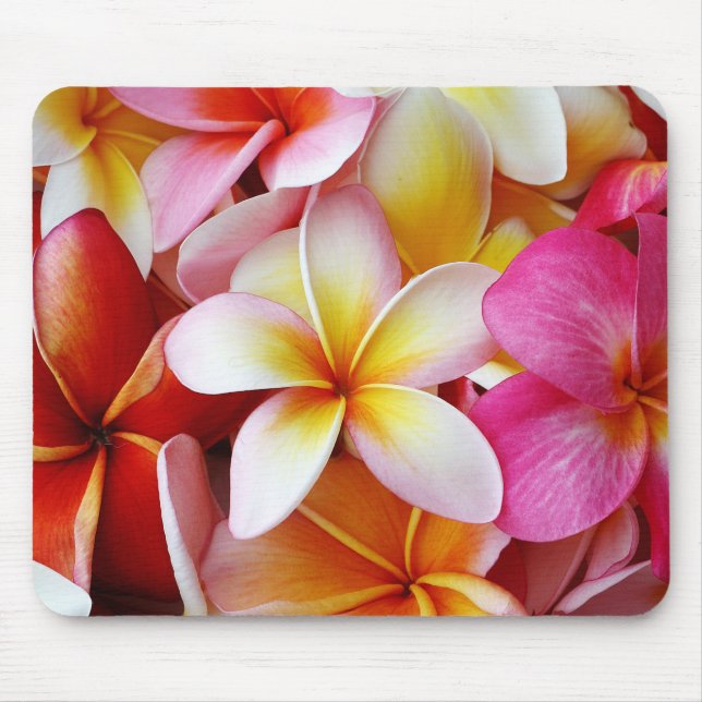 Mousepad Flor de Plumeria Mistura, Amarelo-Rosa (Frente)