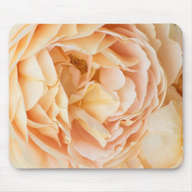 Mousepad Flor de rosa amarela (Frente)