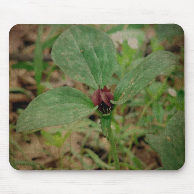 Mousepad Flor de trilho (Frente)
