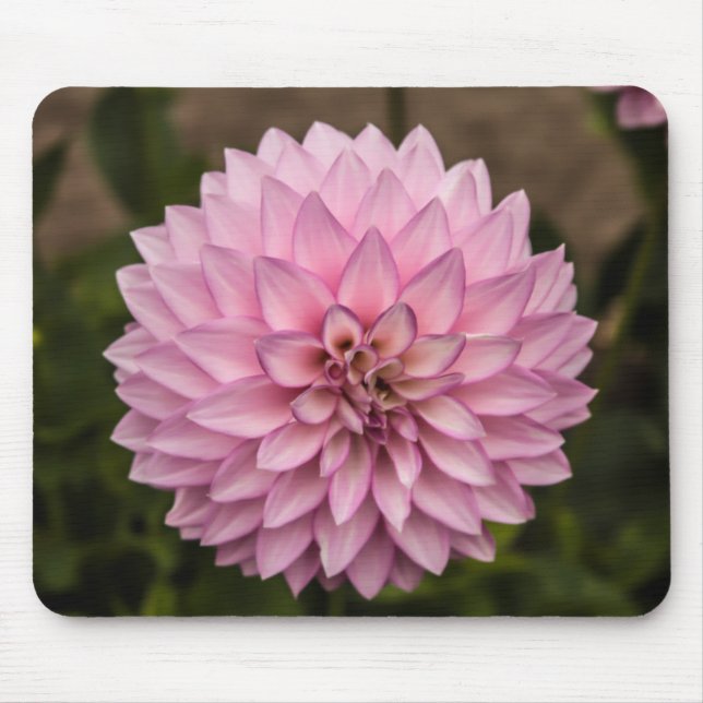 Mousepad Flor de Verão Dahlia (Frente)