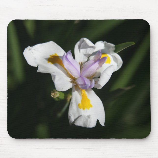 Mousepad flor delicada (Frente)