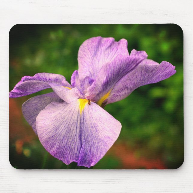 Mousepad Flor Desdobrável Iris Japonês (Frente)