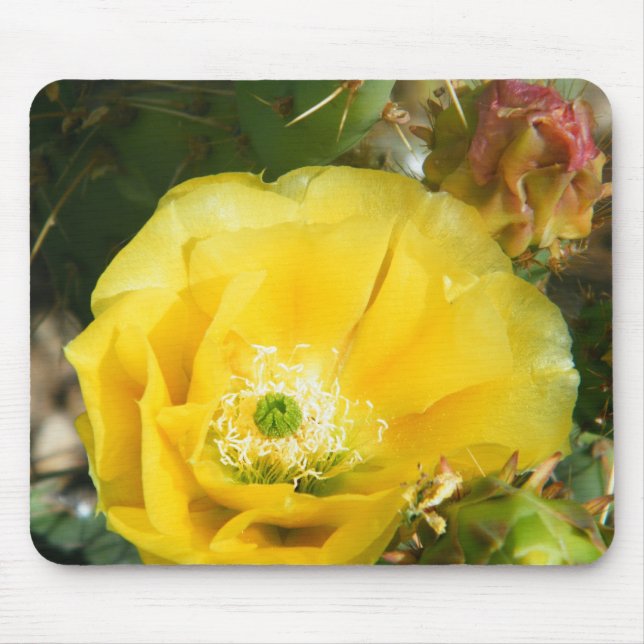 Mousepad flor do cacto (Frente)