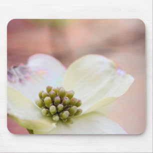 Mousepad Flor do Dogwood
