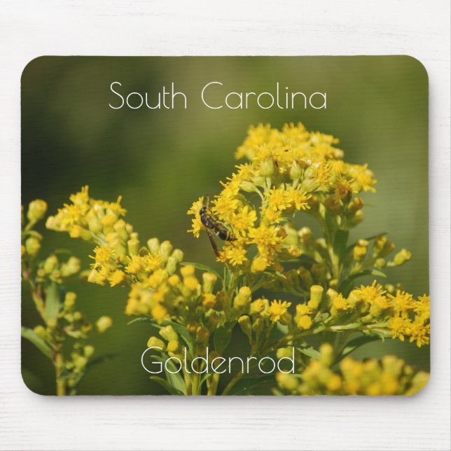 Mousepad Flor do Estado da Carolina do Sul Goldenrod Mousep (Frente)