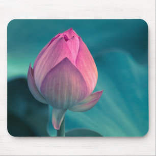Mousepad Flor do lírio de água de Lotus