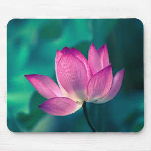 Mousepad Flor do lírio de água de Lotus