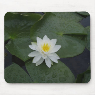 Mousepad Flor do lírio em almofadas de lírio