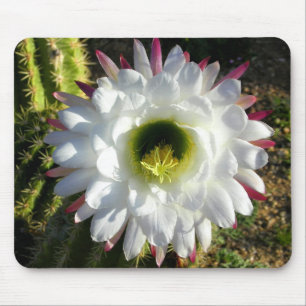 Mousepad Flor dos cactos