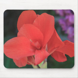Mousepad Flor encontrada nos jardins do D. Carlos I