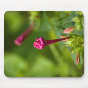 Mousepad flor ereta