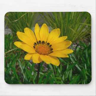 Mousepad Flor Gazania