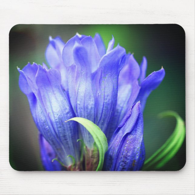 Mousepad Flor Gentil Azul (Frente)