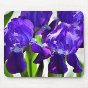Mousepad Flor Iris Roxo