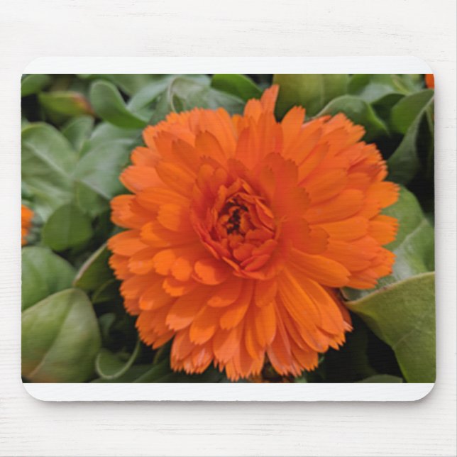 Mousepad Flor Laranja (Frente)