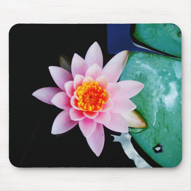 Mousepad Flor lírio de água, rosa quente e lótus laranja (Frente)