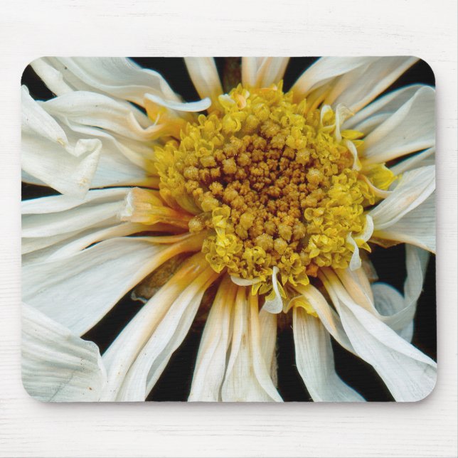 Mousepad Flor - Margarida - Sol bêbado (Frente)