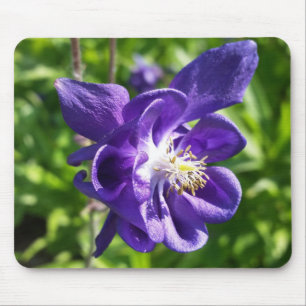 Mousepad flor púrpura brilhante
