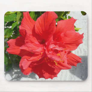 Mousepad Flor Red Double Hibiscus