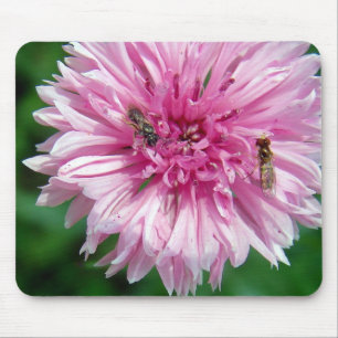 Mousepad Flor rosa e Insetos