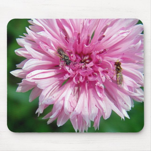 Mousepad Flor rosa e insetos (Frente)