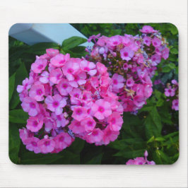 Mousepad Flor Rosa Phlox
