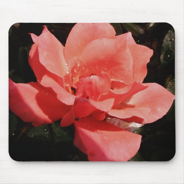 Mousepad Flor Rosa Rosa Rosa Pêssego bonito (Frente)