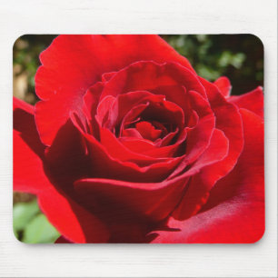 Mousepad Flor Rosa vermelha brilhante Flor