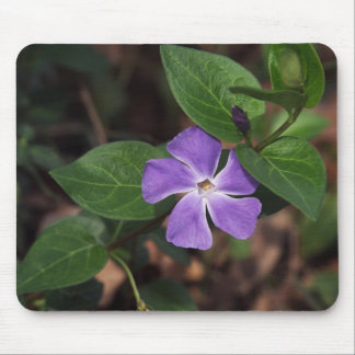 Mousepad Flor roxa
