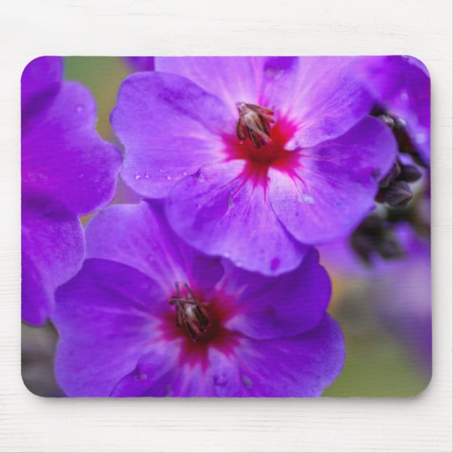 Mousepad Flor roxa (Frente)