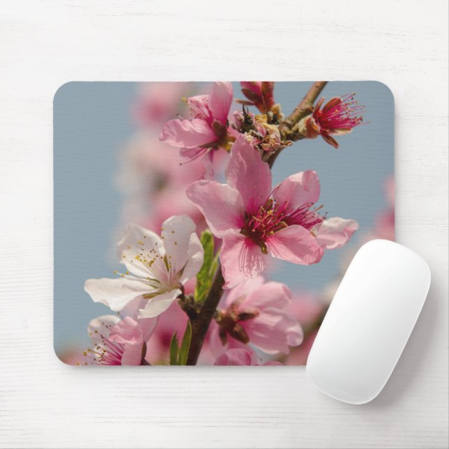 Mousepad Flor Sakura, Flor Japonês Rosa (Com mouse)