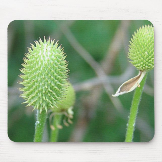 Mousepad Flor selvagem 2 (Frente)