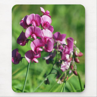 Mousepad Flor selvagem da Doce-ervilha