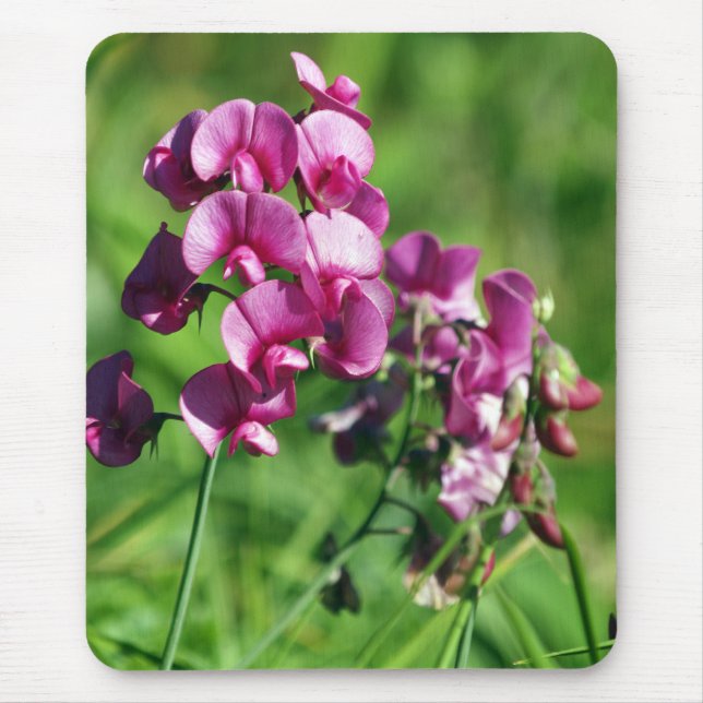 Mousepad Flor selvagem da Doce-ervilha (Frente)