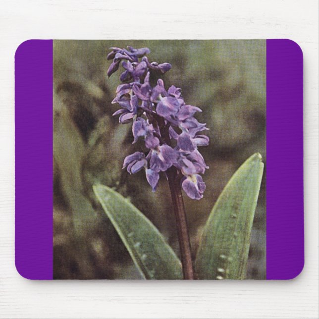 Mousepad Flor Selvagem: Orquídeas Púrpura Precoce (Frente)