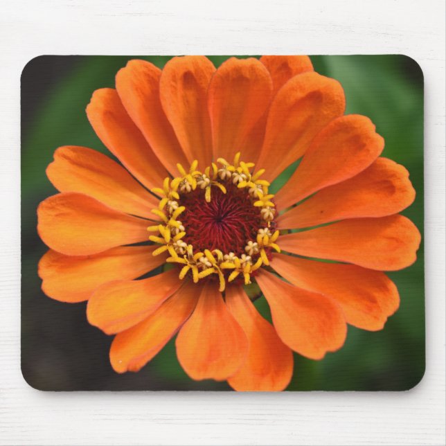 Mousepad Flor solteiro laranja (Frente)