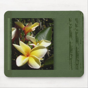 Mousepad Flor tropical amarela do plumeria