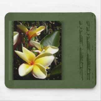 Mousepad Flor tropical amarela do plumeria