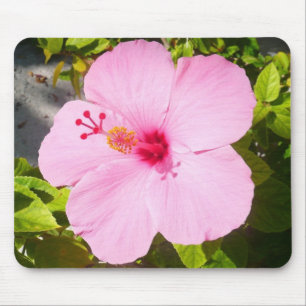 Mousepad Flor Tropical de Hibiscus Rosa