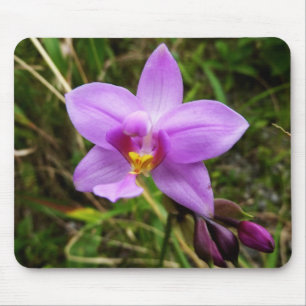 Mousepad Flor Tropical Roxo de Orquídea Selvagem