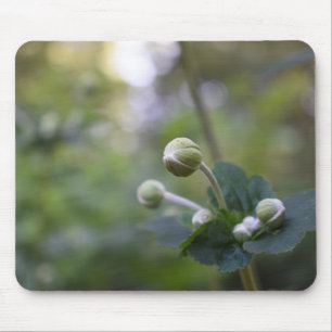 Mousepad Flor Verde Jardim da Flor Natureza Fotografia Flor