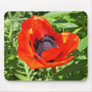 Mousepad Flor vermelha brilhante no verde