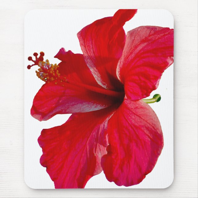 Mousepad Flor vermelha tropical do hibiscus (Frente)