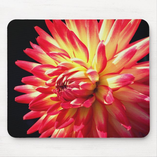 Mousepad Flor Vibrant Red Dahlia (Frente)