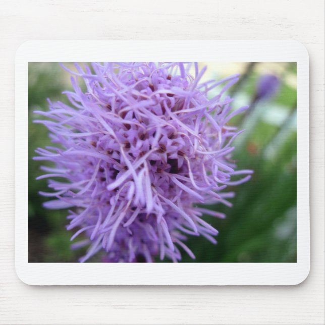 Mousepad Flor Violeta Tentacle Spider (Frente)