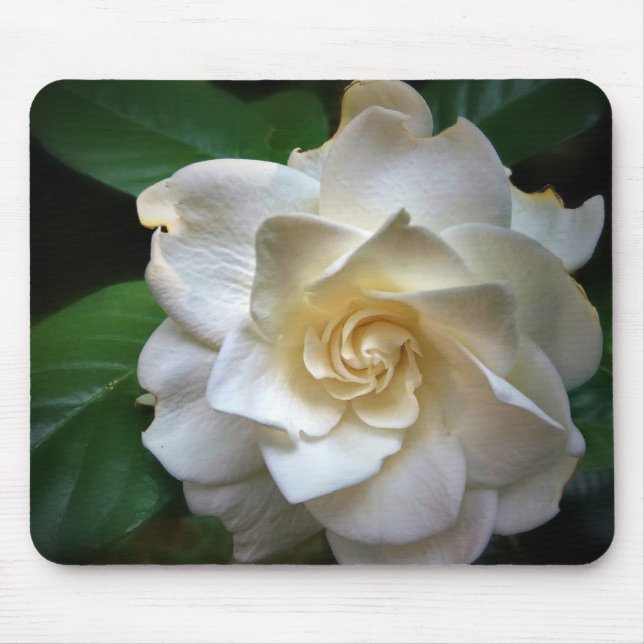 Mousepad Flor White Gardenia (Frente)