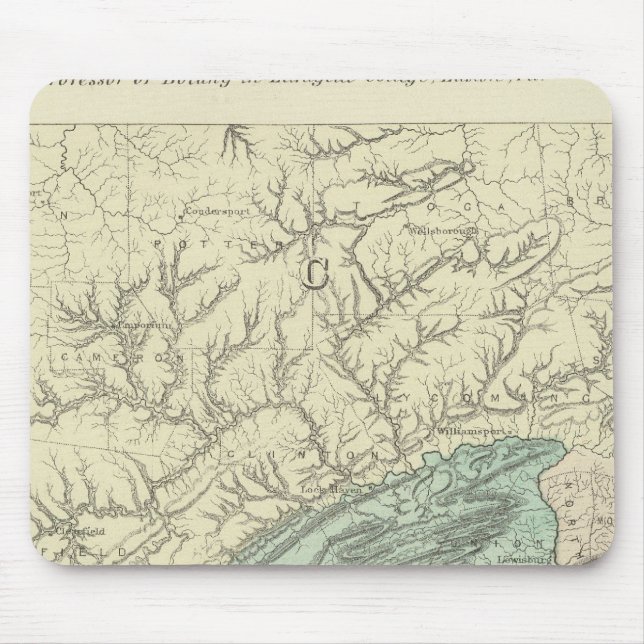 Mousepad Flora Penn (Frente)