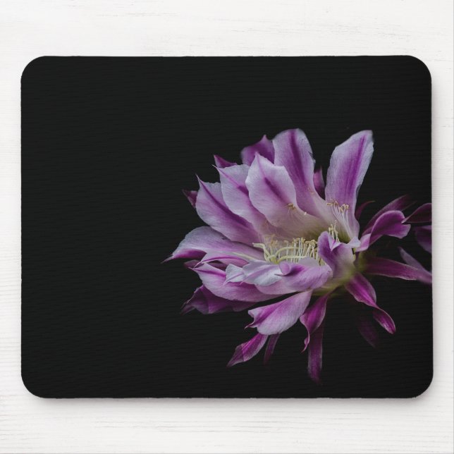 Mousepad Floração de cacto roxo real e branco (Frente)